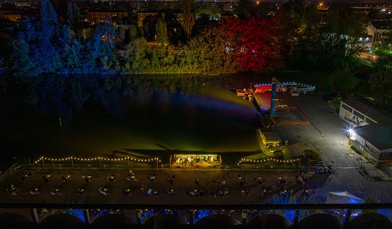 Foto aerea con illuminazione sugli alberi